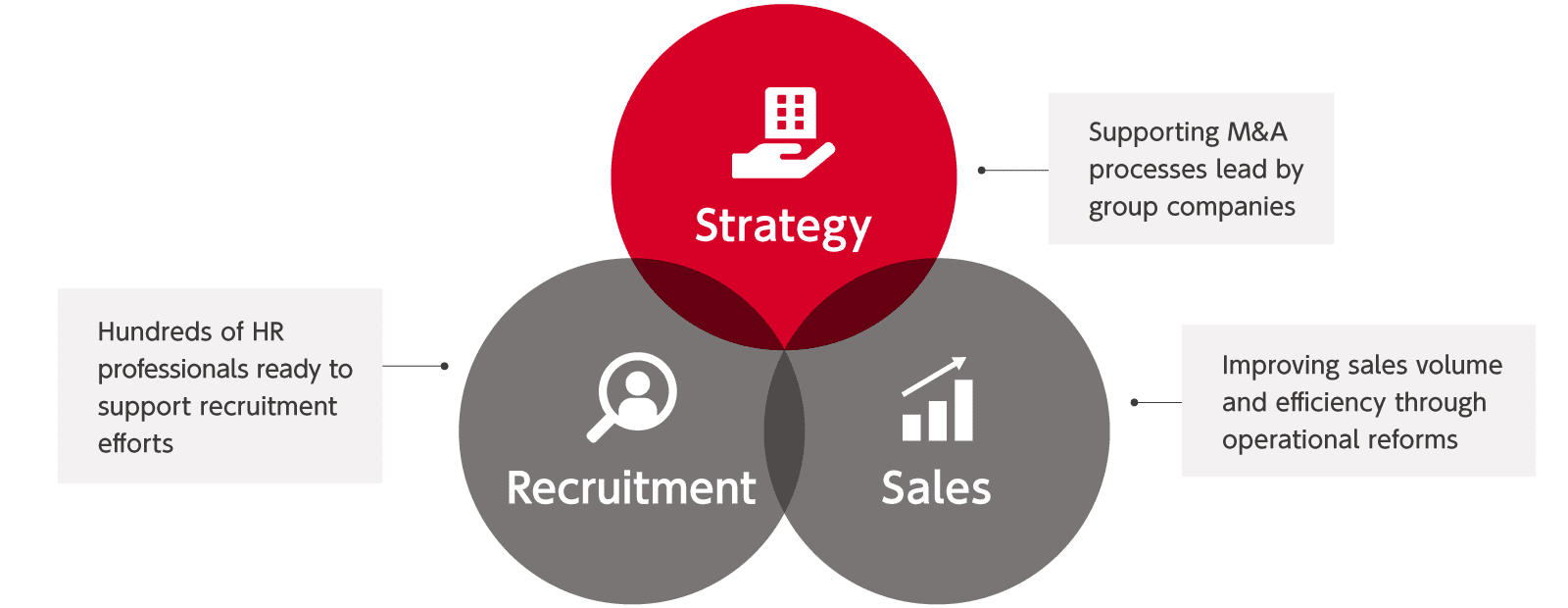 Recruitment, sales and strategy support image